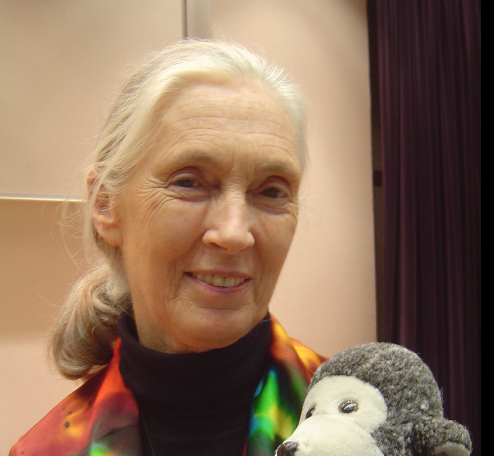 Jane Goodall Photo